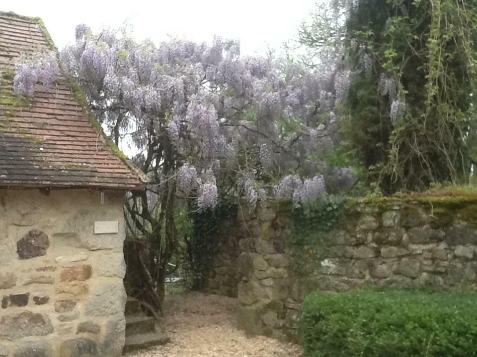 Domaine De Sautou Hotel Castanet  Eksteriør billede